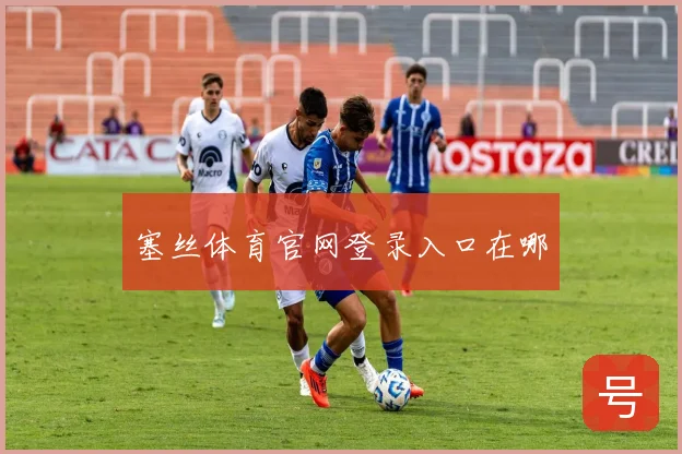 塞丝体育官网登录入口在哪